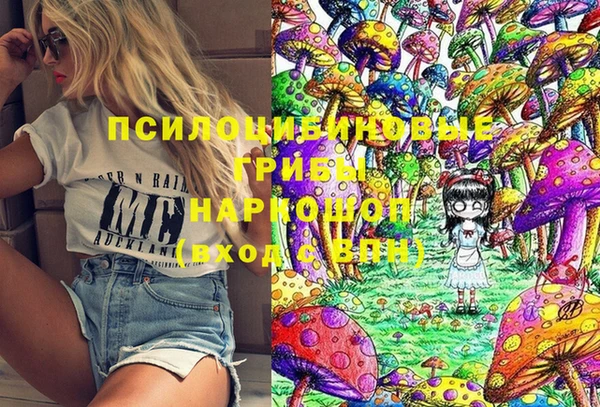 дмт Гусь-Хрустальный